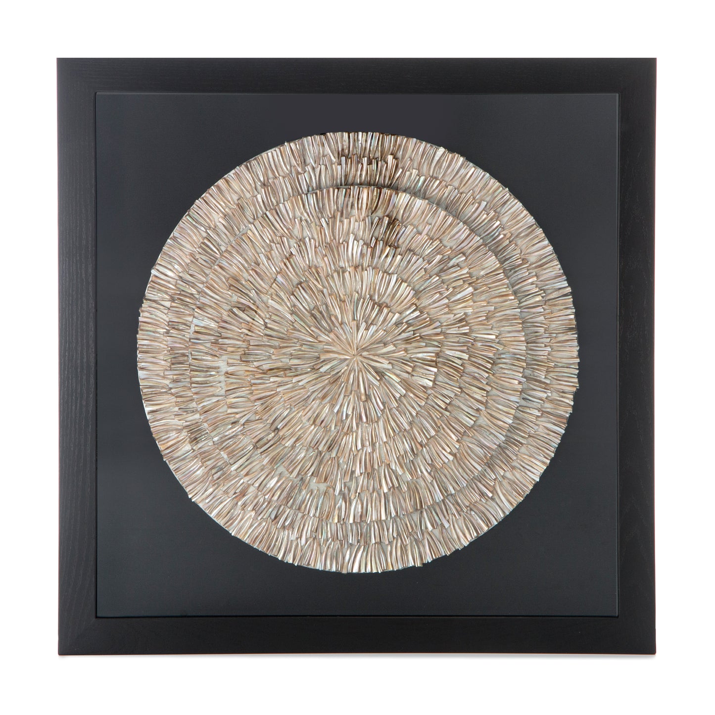 Muschel-Wandbild Medaille 80cm x 80cm