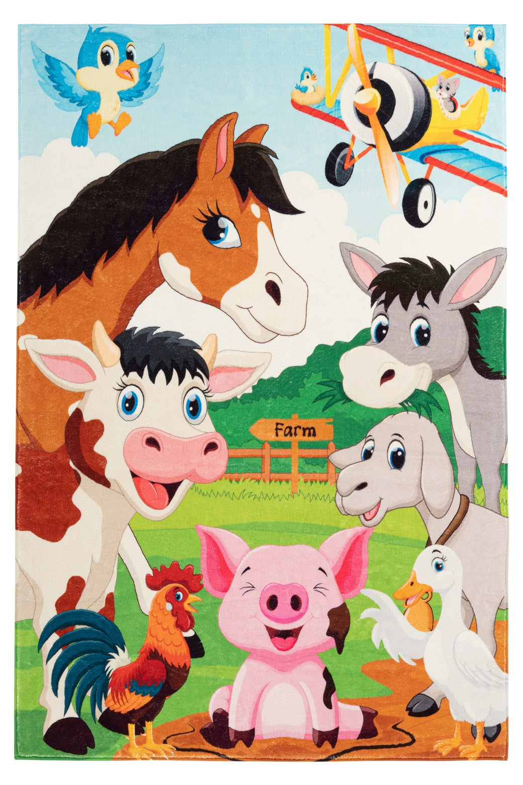 Juyana 482 Farm 160cm x 230cm
