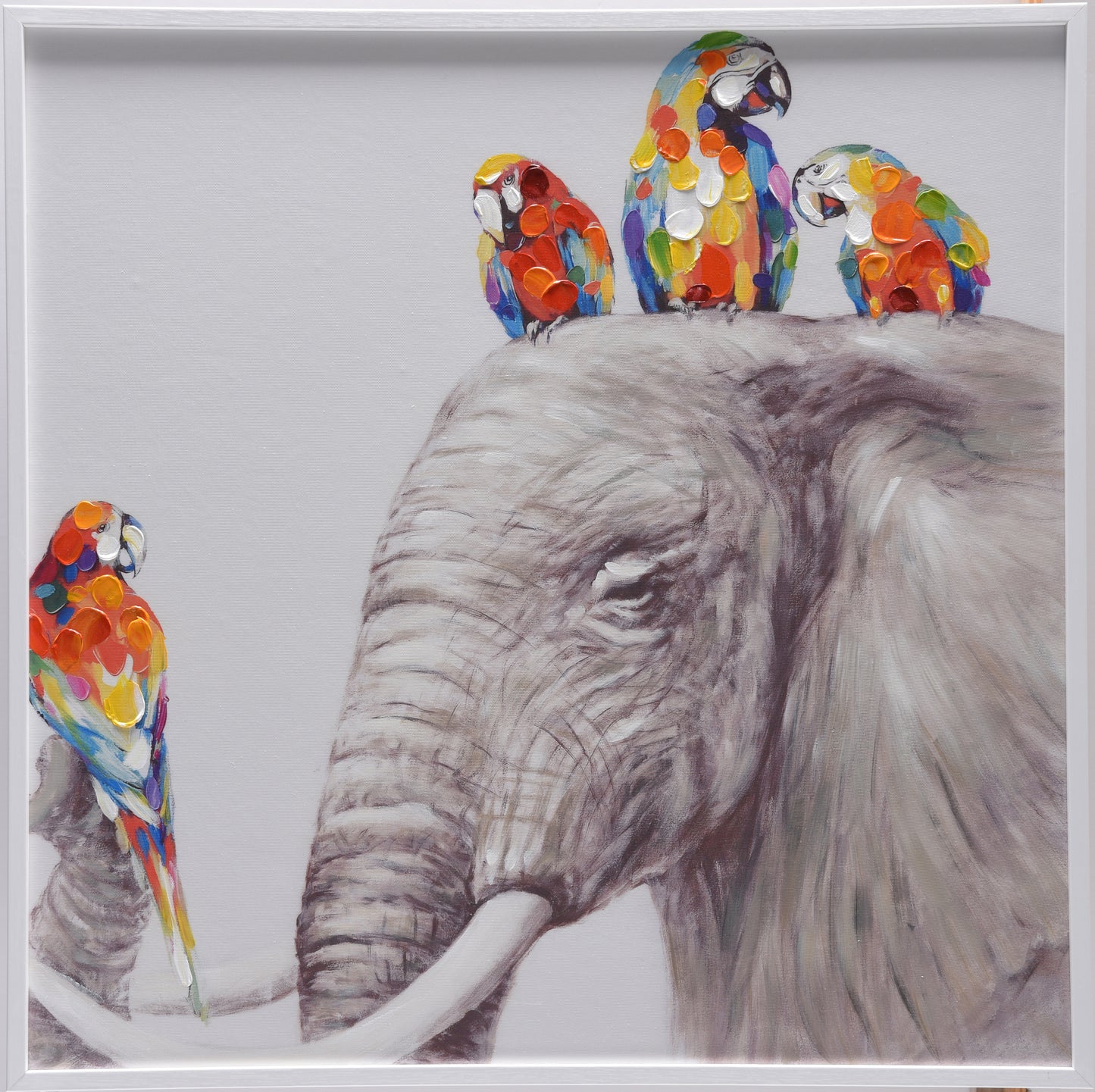 Öl-Wandbild Papagallo I 70cm x 70cm