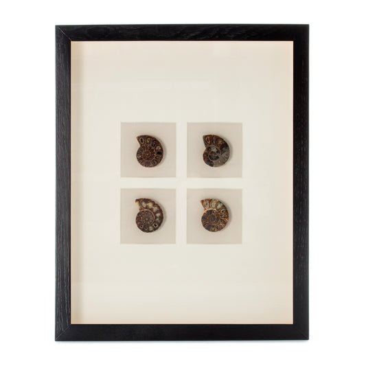 Bilder Edelsteinkunst Valuable I 41cm x 51cm