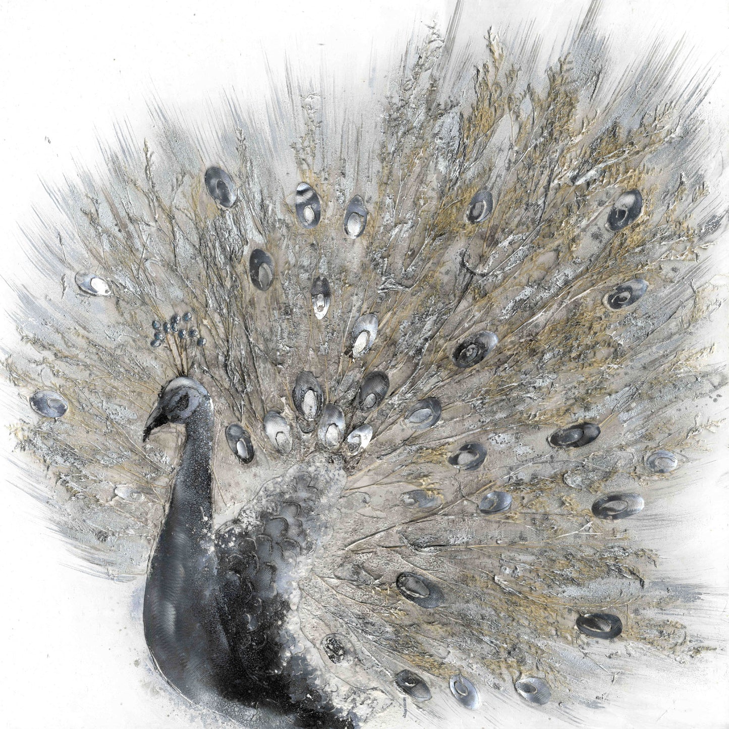 Aluminium Wandbild Pfau II 80cm x 80cm